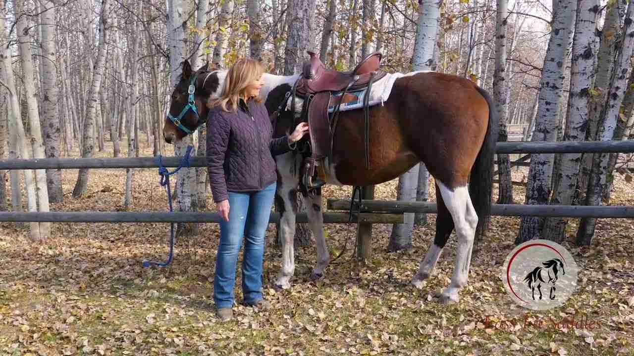 Custom Western Saddles | Easy Fit Saddles 18 Daniel