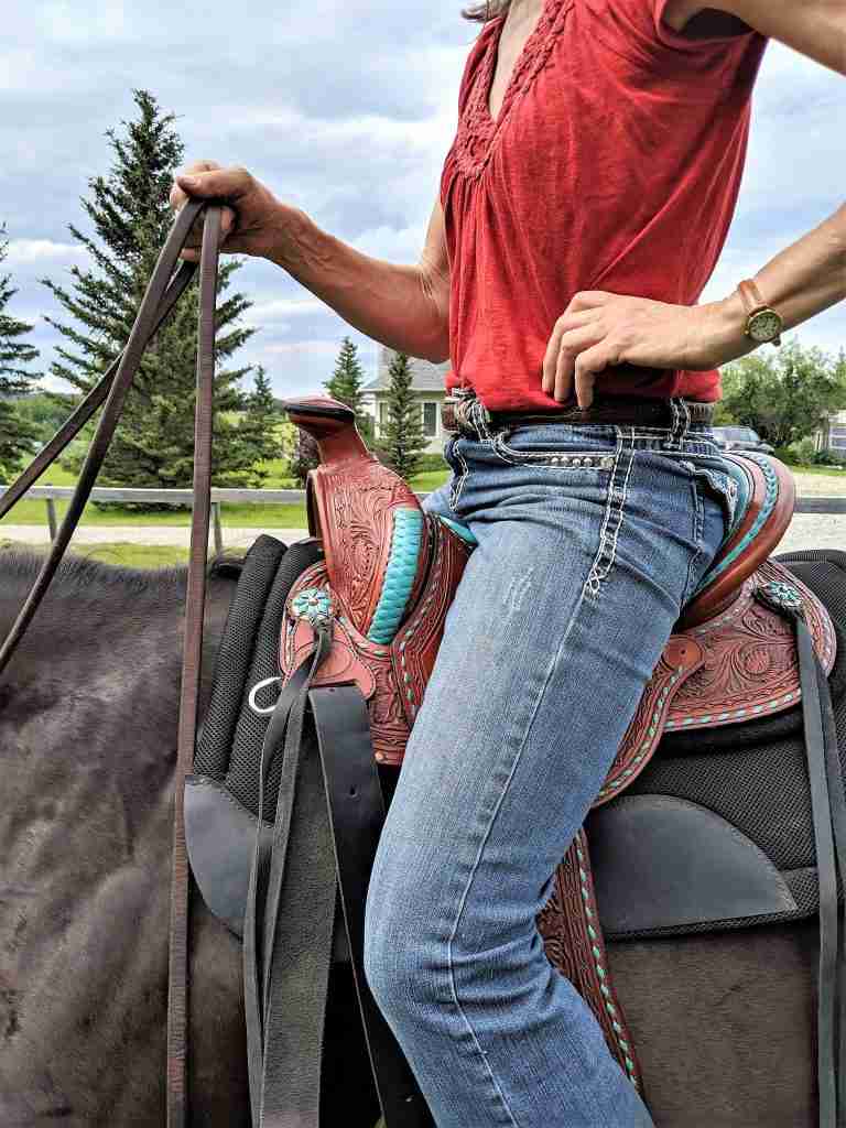 Adjustable to Fit the Rider