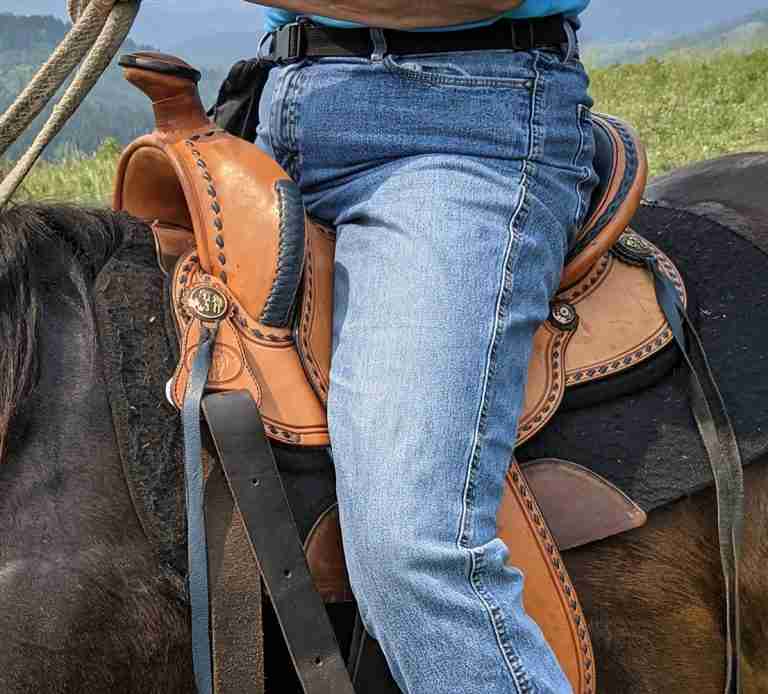 Mastering Your Western Saddle: A Guide to Comfort.