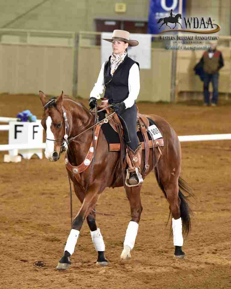 BENEFITS OF EASY FIT SADDLES