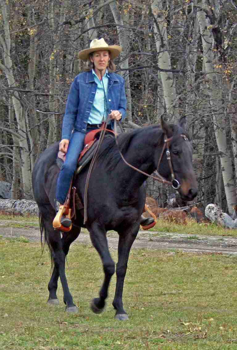 Correct Position For Western Riding